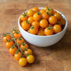 Honeycomb, (F1) Tomato Seeds